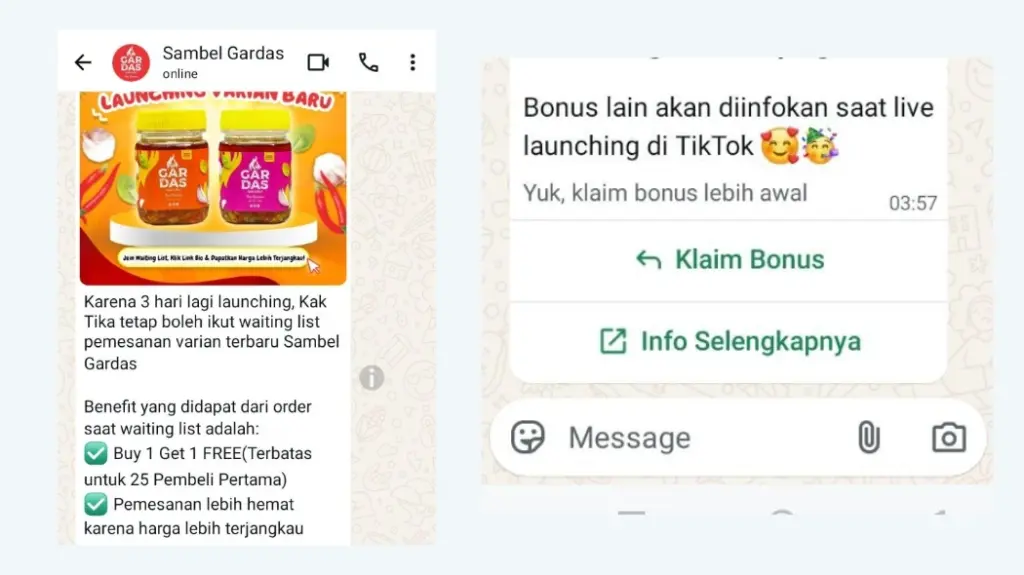 Broadcast WhatsApp aman dari blokir